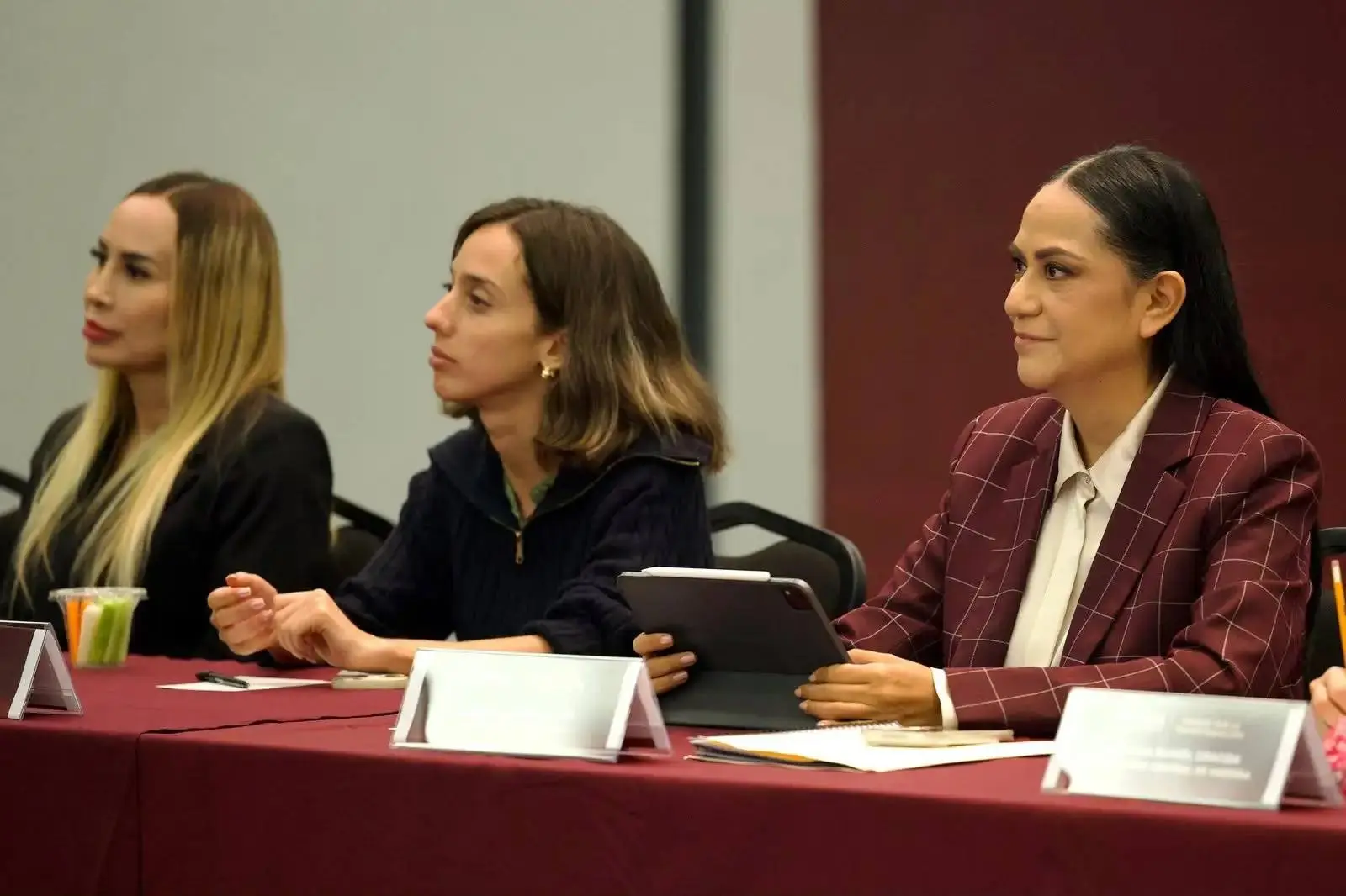 Morena pide auditorías al SIAPA y denuncia presunta corrupción en desarrollos inmobiliarios de Jalisco